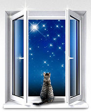 Двостулкові WDS 505 c фурнітурою Maco.