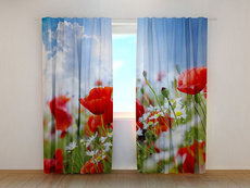 Фотошторы, фотожалюзи, жалюзи вертикальные, горизонтальные, роллетного типа, 