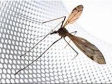 сетки москитные