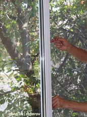 Москитные сетки на Лесном цена