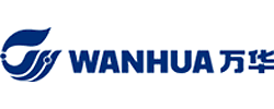 Китайская компания Wanhua поглощает венгерскую BorsodChem