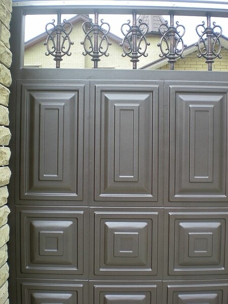 двері вхідні + козирок