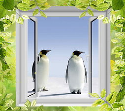 Теплое окно &mdash; 