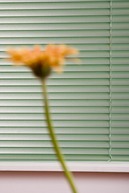 Магазин Жалюзи в Одессе - алюминиевые горизонтальные жалюзи Хитсан