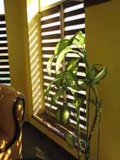 Жалюзи День-ночь &mdash; Визаж салон-магазин