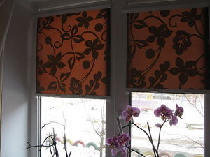 Рулонные шторы &mdash; Минаков