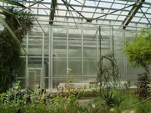 Оранжереи Ботанического сада &mdash; 