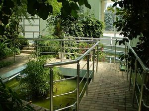 Перила в оранжереях Ботанического сада &mdash; 