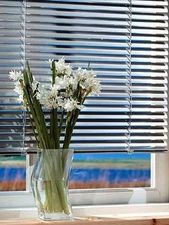 ЖАЛЮЗИ &mdash; 