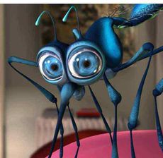 Антимоскитные рамные, дверные и ролетные сетки, установка